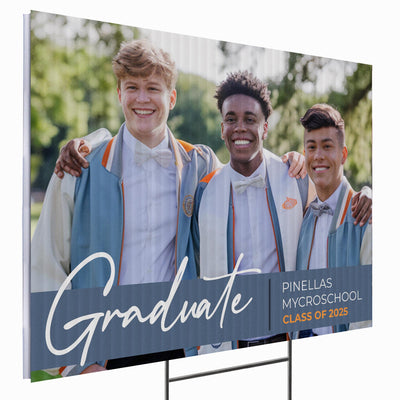 Pinellas MYcroSchool Design 9 -  YSW-PMS-DS-D9-YWS-PMS-OS-D9