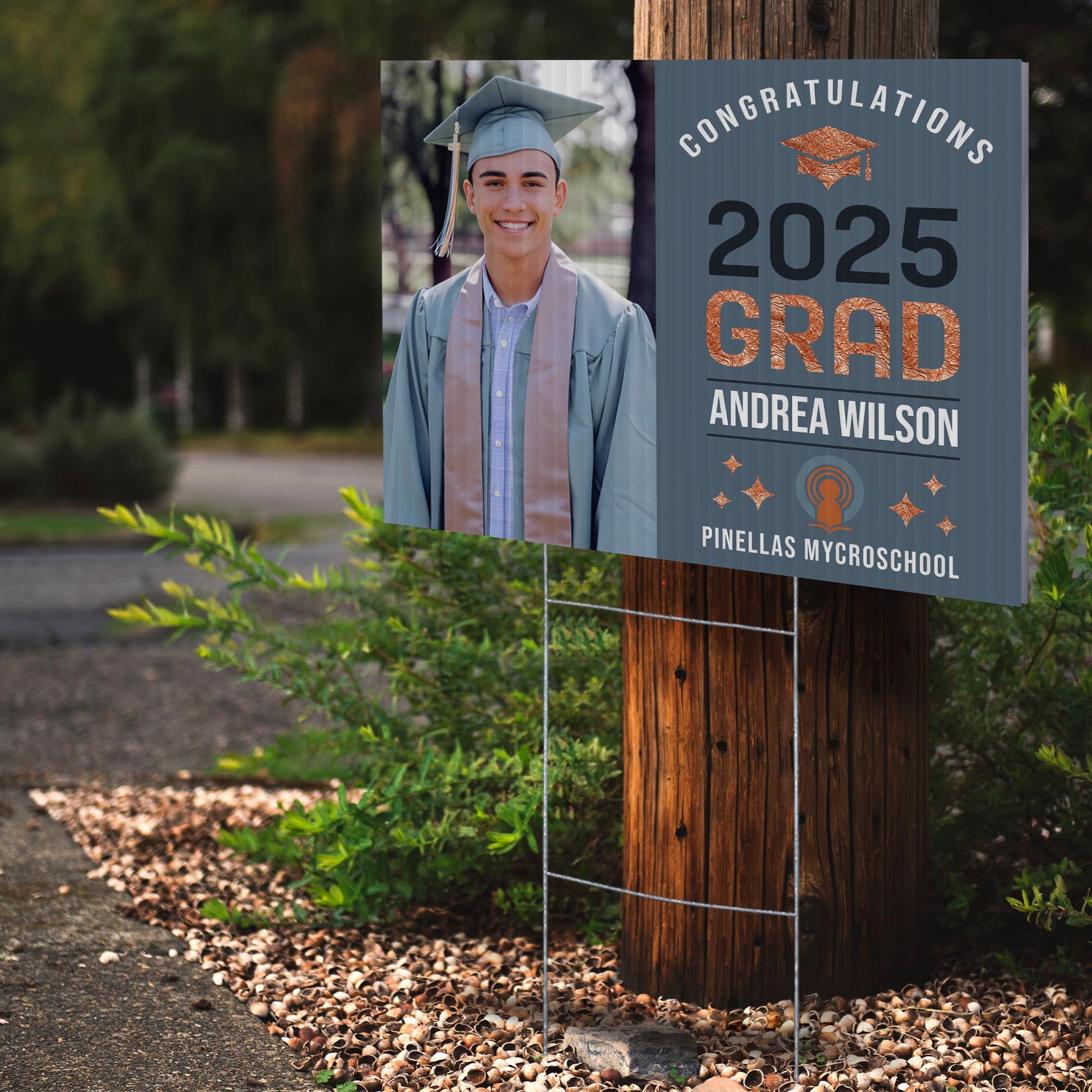 Pinellas MYcroSchool Design 10 -  YSW-PMS-DS-D10-YWS-PMS-OS-D10