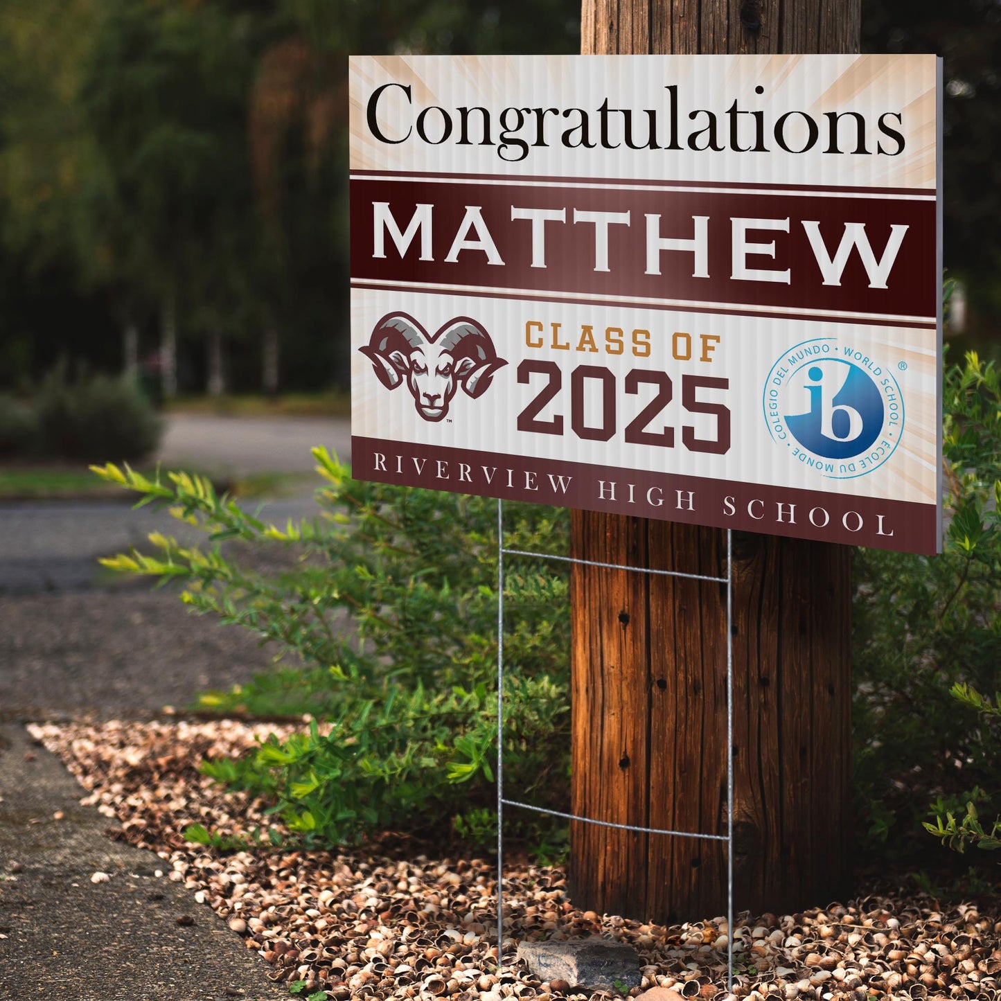 Riverview High School IB Design 1