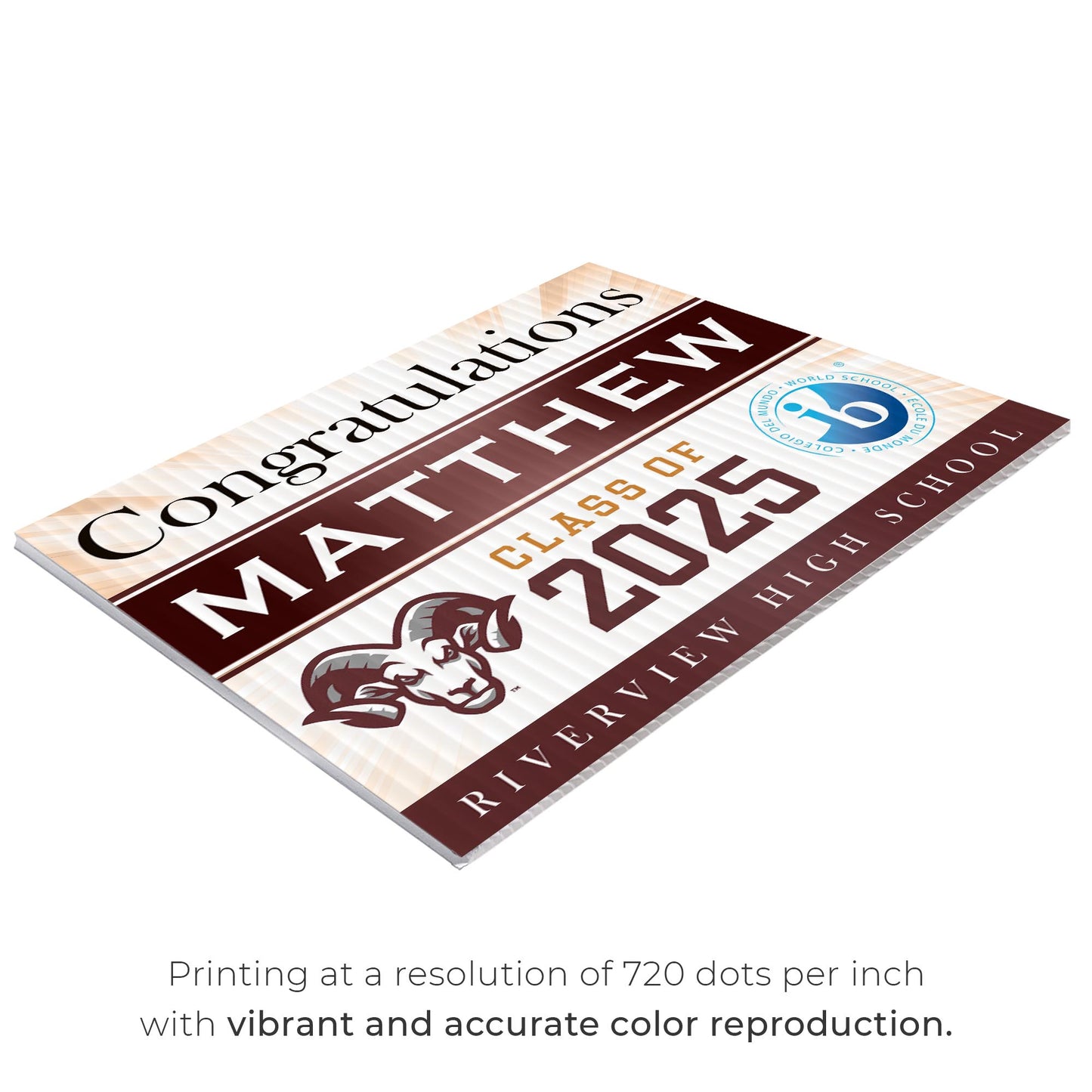 Riverview High School IB Design 1