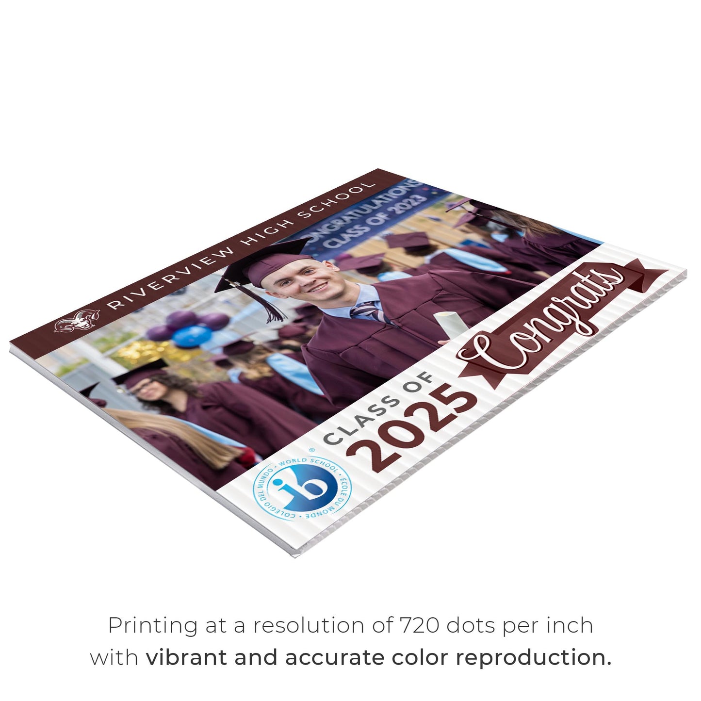 Riverview High School IB Design 3