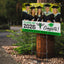 Haines City Senior High School Design 3