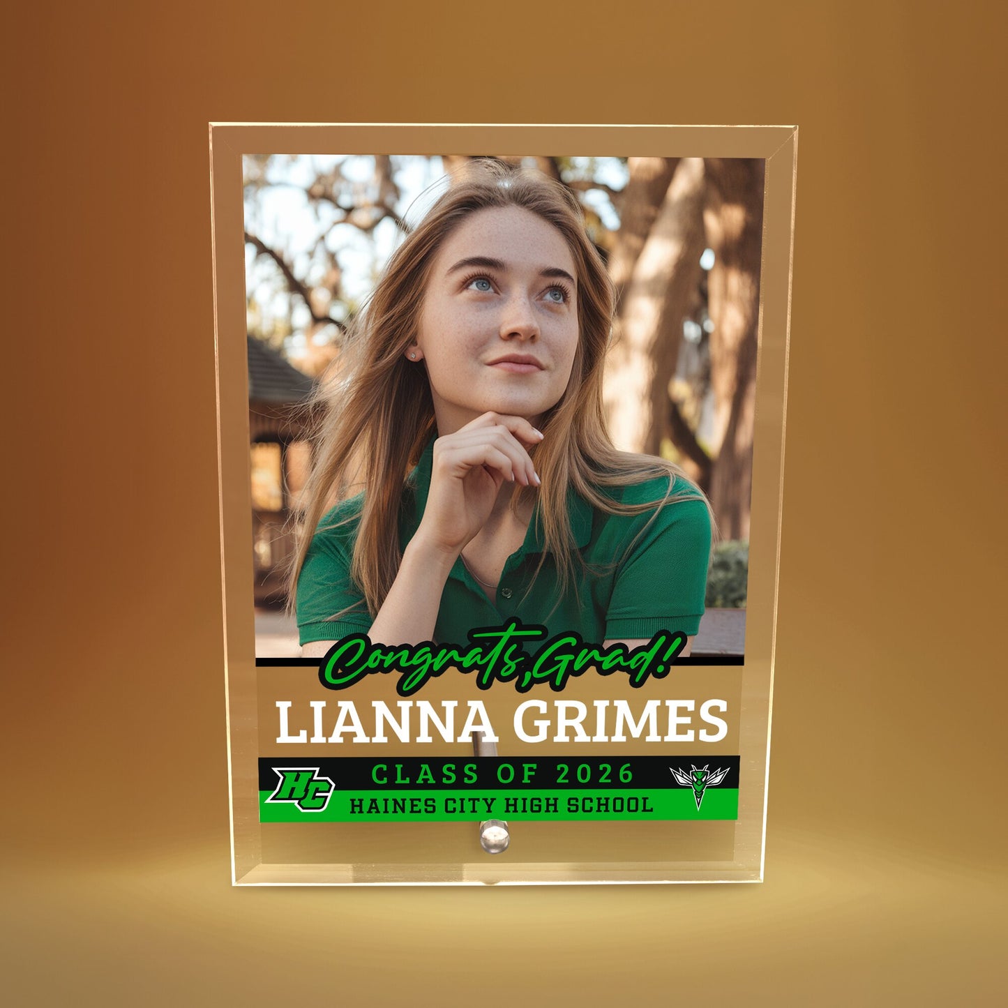 Haines City Senior High School Glass Plaque Design 2