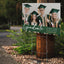 Island Coast High School Design 9