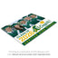 Jupiter High School Design 3