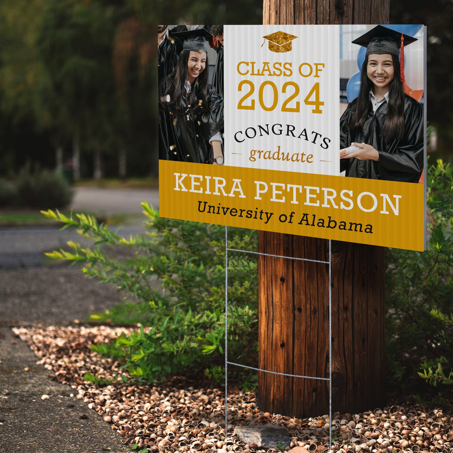 Graduation Yard Sign D9