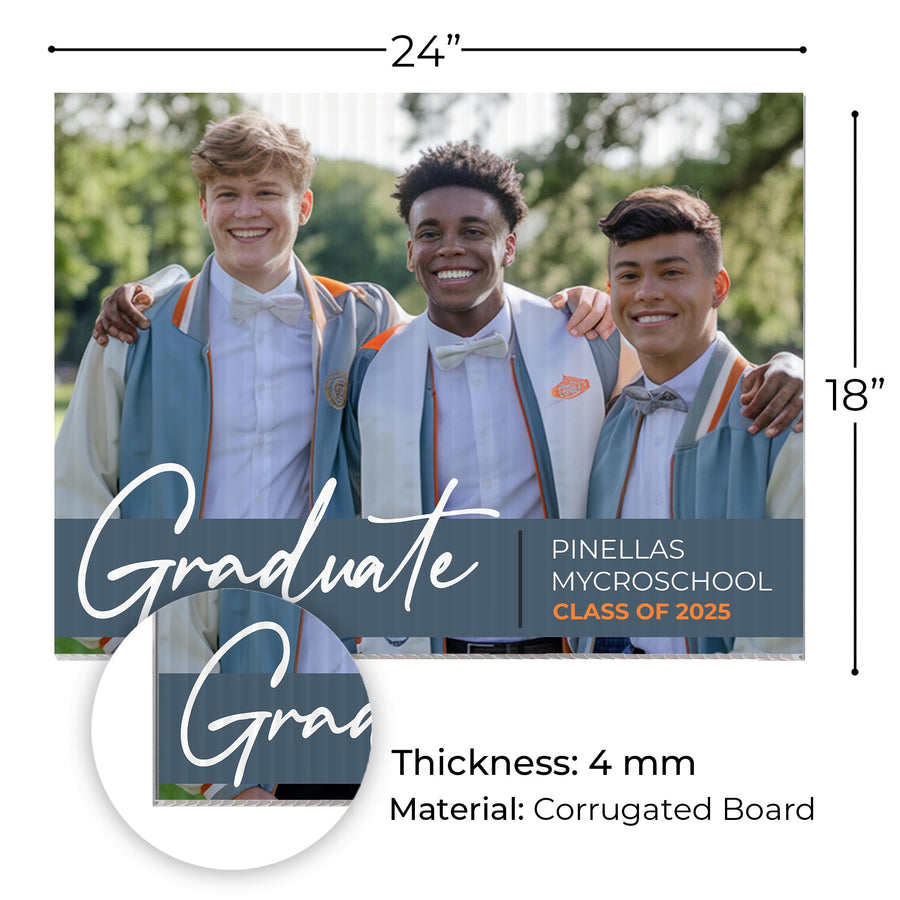 Pinellas MYcroSchool Design 9 -  YSW-PMS-DS-D9-YWS-PMS-OS-D9