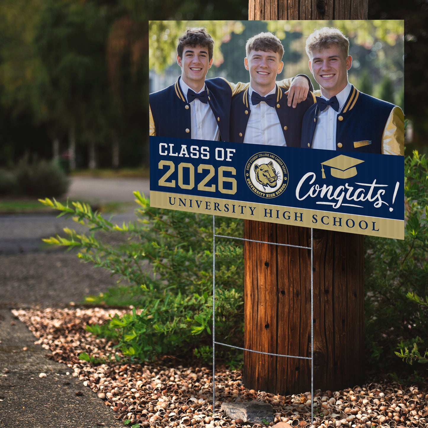 University High School Design 3